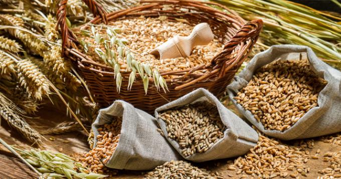 Alimenti: Copagri Lazio, sosteniamo filiera grani antichi del reatino