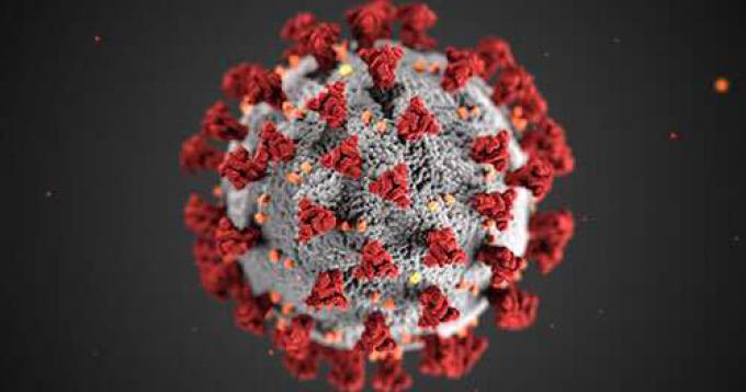 Coronavirus, i dati nel Lazio (26 Marzo)
