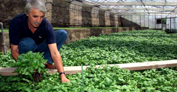 Dal programma Bei-Iccrea 200 milioni per le Pmi, 25% all'agricoltura