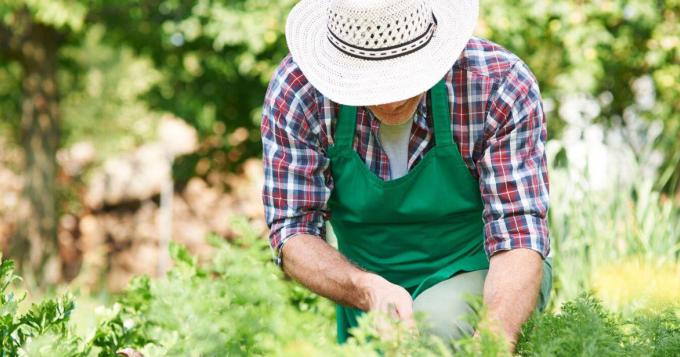Bando giovani agricoltori Lazio: pubblicata la graduatoria
