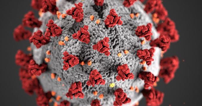 Coronavirus, i dati aggiornati nel Lazio (8 Maggio)
