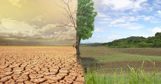 In agricoltura perdite tra il 20% e 60% per cambiamenti climatici