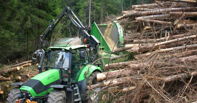 Taglio boschi e prima lavorazione del legno, la Regione Lazio risponde