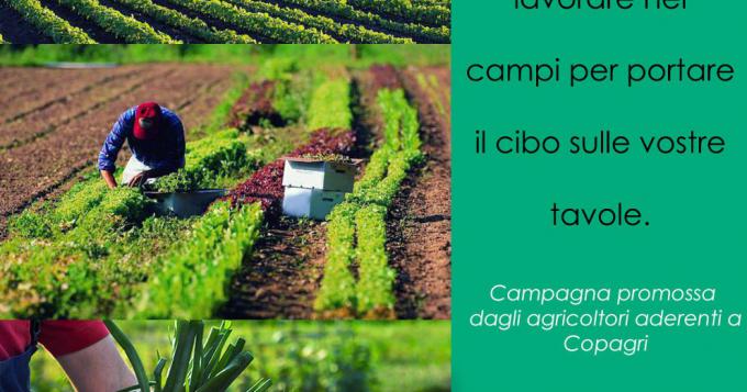 Procedura semplificata per assegnazione gasolio agricolo