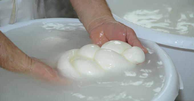 Crisi latte di bufala, Confagricoltura, CIA e Copagri: 