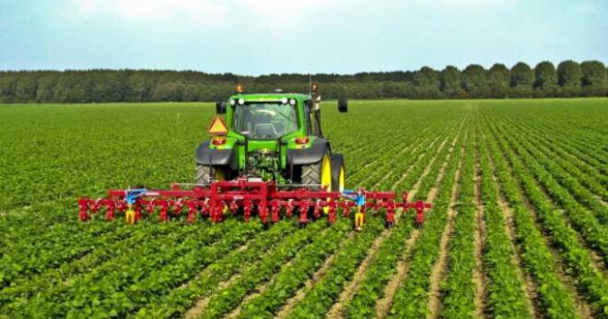 Agricoltura: fondo garanzia sfiora 400 milioni di finanziamenti