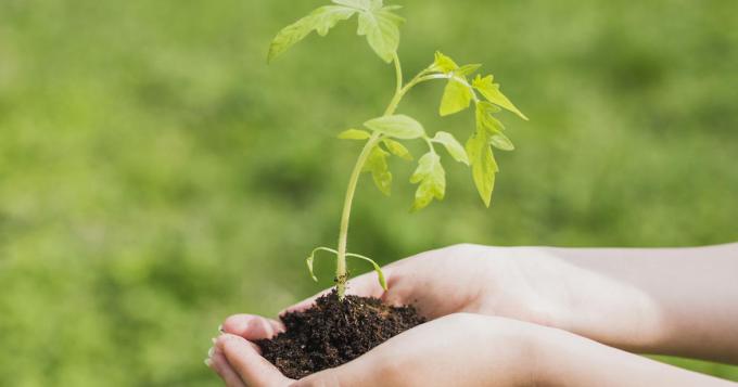 Agricoltura sociale, il bando della Regione Lazio per favorire l'inclusione
