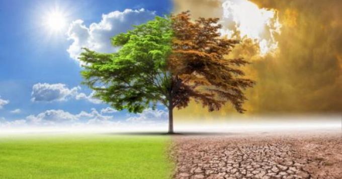 Enea: da cambiamenti del clima danni all'agricoltura per 30mln