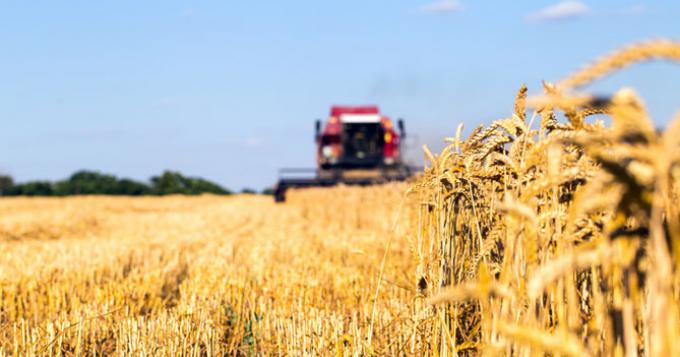 Agricoltura: Eurostat, produttivita' lavoro in calo in Italia