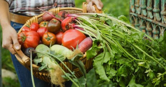 Quattro milioni di euro per la promozione dell'agroalimentare laziale