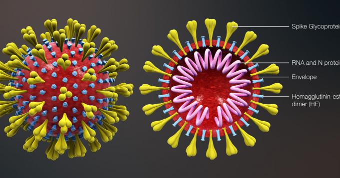 Coronavirus, i dati aggiornati nel Lazio (18 Marzo)