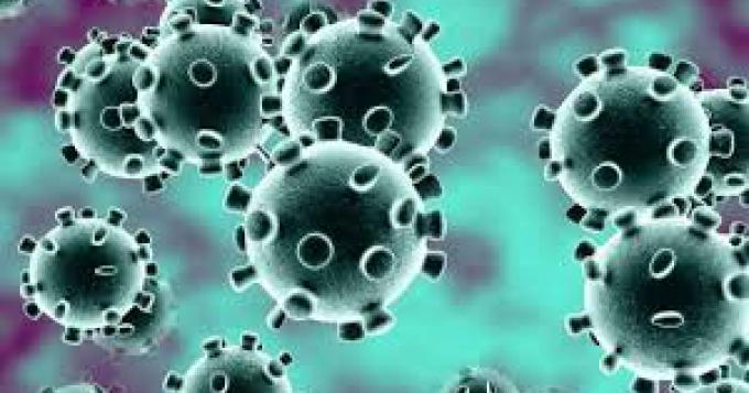 Coronavirus, i dati aggiornati nel Lazio (22 Maggio)