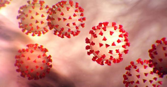 Coronavirus, i dati nel Lazio (4 Aprile)