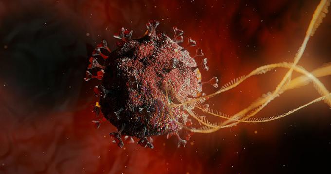 Coronavirus, i dati aggiornati nel Lazio (10 Maggio)