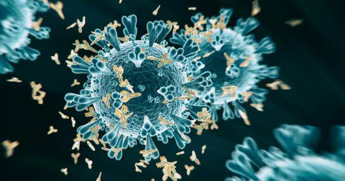 Coronavirus, i dati aggiornati nel Lazio (4 Giugno)