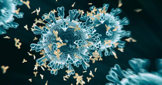 Coronavirus, i dati aggiornati nel Lazio (21 Maggio)