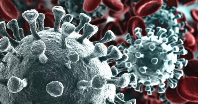 Coronavirus, i dati aggiornati del Lazio (5 Maggio)