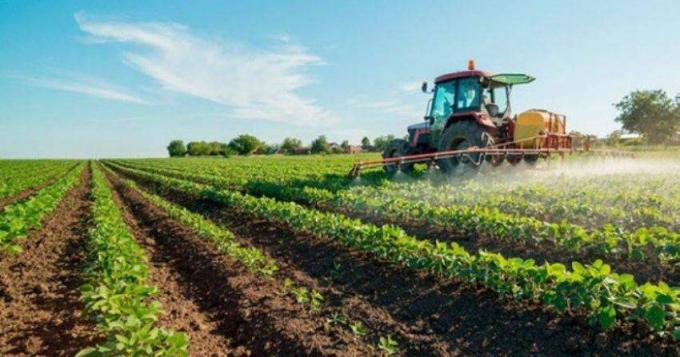 Sostegni bis, per l'agricoltura misure piu' coraggiose