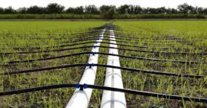 40 milioni per impianti irrigui Agro Pontino, Val di Paglia Superiore, Conca Sora e Valle del Liri