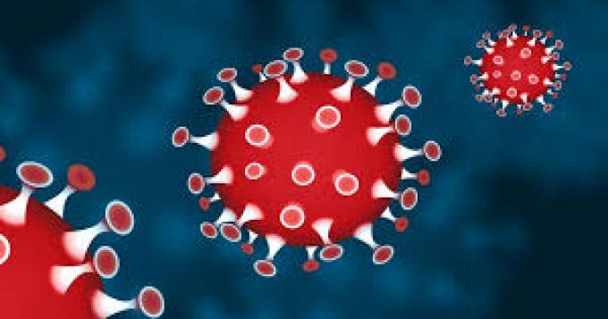 Coronavirus, i dati aggiornati nel Lazio (29 Marzo)