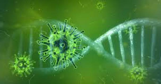 Coronavirus, i dati aggiornati nel Lazio (27 Marzo)
