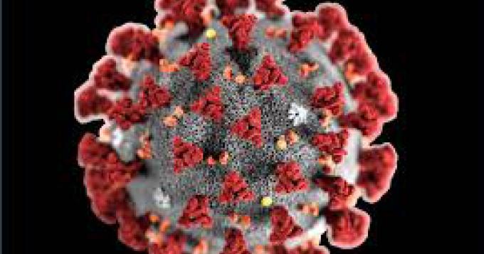Coronavirus, i dati aggiornati del Lazio (7 Aprile)