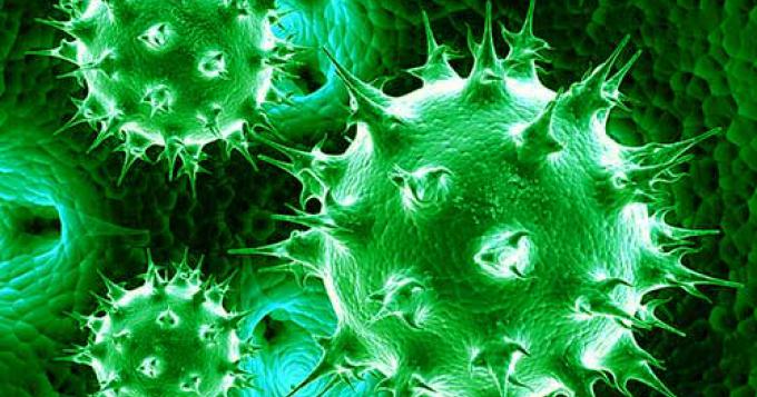 Coronavirus, i dati aggiornati del Lazio (28 Aprile)