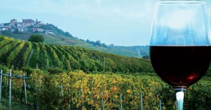 DL Semplificazioni, sostegno a giovani e filiera vino