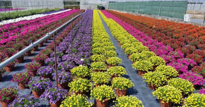 Florovivaismo, Agrinsieme: avanti con una legge quadro