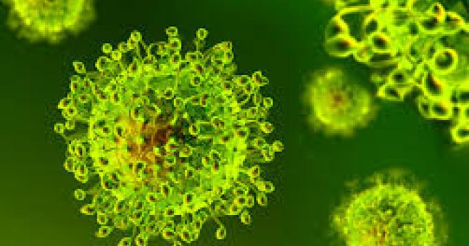 Coronavirus, i dati aggiornati del Lazio (30 Aprile)