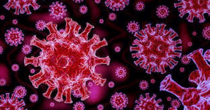 Coronavirus, i dati aggiornati del Lazio (25 Maggio)