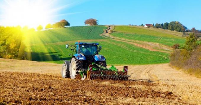 Agricoltura: 300 mila euro per attivita' di promozione e sviluppo