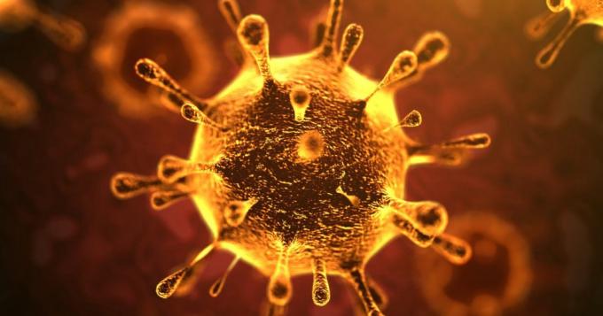 Coronavirus, i dati aggiornati nel Lazio (17 Marzo)