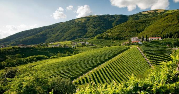 Agricoltura, ecco l'indagine Eurostat per il 2018