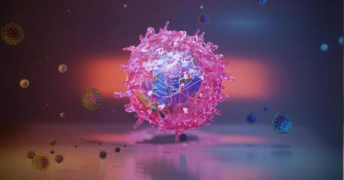 Coronavirus, i dati aggiornati del Lazio (8 Aprile)
